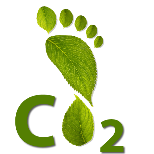 footprint made of leaves and a co2 graphic