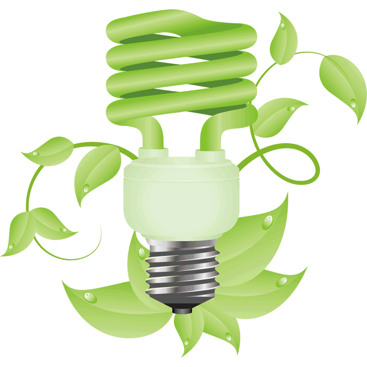 lightbulb with leaves growing graphic